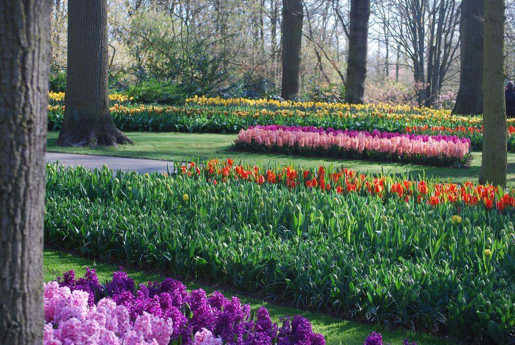 Vakantiepark Delftse Hout Exteriör bild