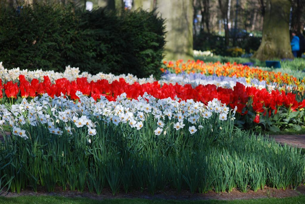 Vakantiepark Delftse Hout Exteriör bild